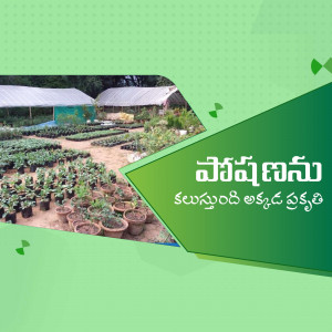 A vibrant nursery with a variety of plants and a greenhouse in the background.