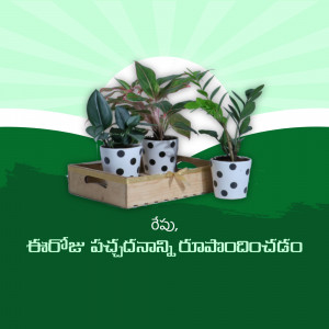 A wooden tray holding three potted indoor plants with polka dot designs, set against a green gradient background.