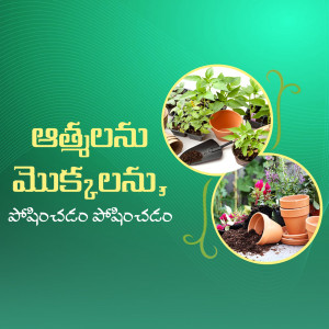 Image showcasing plants, pots, and gardening tools with Telugu text.