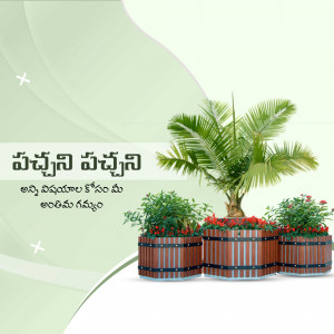 Three wooden planters with plants in a decorative setting