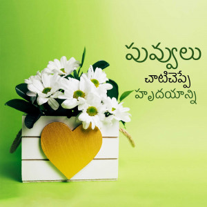 White daisies in a wooden box with a heart, with Telugu text