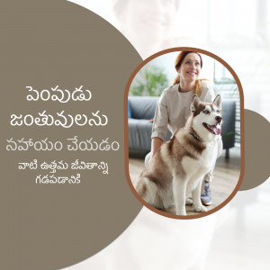 A woman smiling and petting her husky dog in a living room setting.