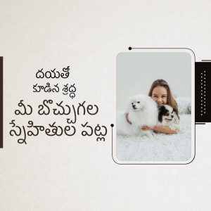 A woman hugging two white Pomeranian dogs in a framed photo.
