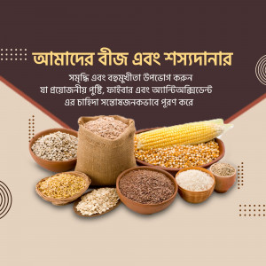 Assortment of seeds and crops in bowls and sacks, with corn on the cob.