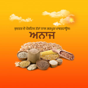 Pile of grains and seeds with a sunny sky background and text in Punjabi