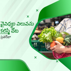 Person carrying a basket of fresh vegetables and fruits at a market.