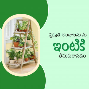 A wooden ladder shelf filled with various potted indoor plants.