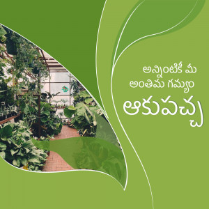 A vibrant image of a greenhouse with lush greenery and a decorative leaf overlay.