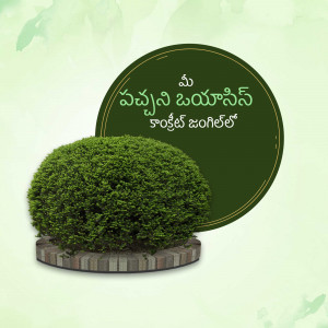 Green plant with text in Telugu