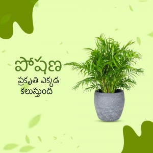 Potted palm plant with Telugu script on a light green background