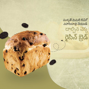 Close-up of a chocolate bread with scattered chocolate pieces.