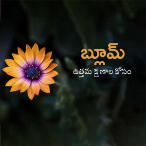 Abstract digital art with swirling lines and vibrant colors.