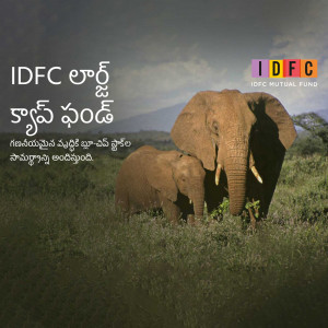 Image of an adult elephant and calf with IDFC Mutual Fund branding.