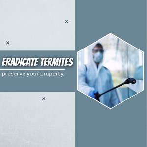 Pest control worker spraying insecticide to eradicate termites and preserve property.