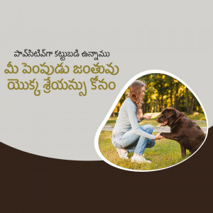 Woman training her dog in a park