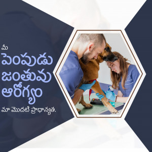 Veterinarians examining a dog in a clinic