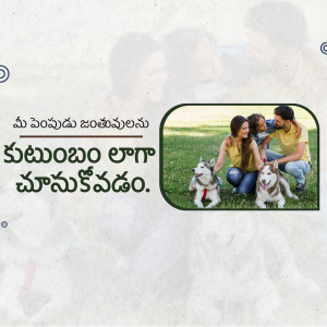 A family of four with two dogs in a park