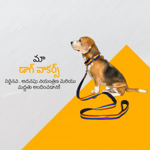 Person using a smartphone