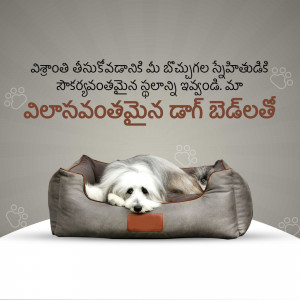 A fluffy white dog relaxing in a comfortable gray dog bed.