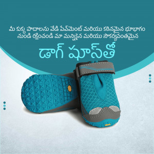 Pair of blue and grey dog boots on a teal background