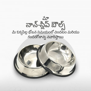 Two stainless steel pet bowls with black rubber bases