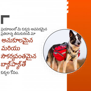 A brown and black dog wearing a red backpack.