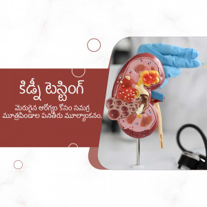 A realistic model of a human kidney being examined with gloved hands in a medical setting.