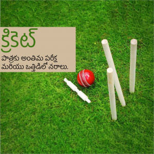 Cricket ball, wickets, and a sign on green grass