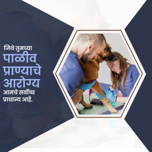 Veterinarians examining a dog's paw