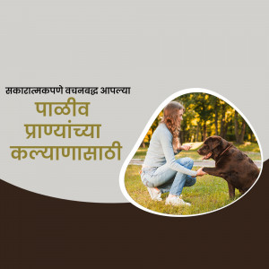 A woman crouching and interacting with a chocolate labrador retriever in a park.