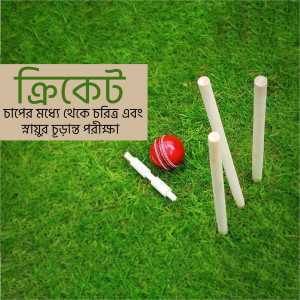 Cricket ball, wickets, and green grass field