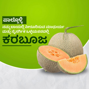 Close-up of a Karbuja melon with a slice cut out, showcasing the orange flesh.