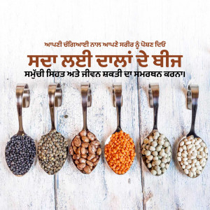 Six spoons filled with different types of lentils and pulses on a white wooden surface.