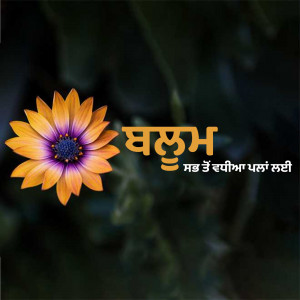 Abstract digital art with swirling lines and vibrant colors.