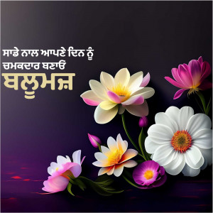 A digital illustration of various flowers with text in Punjabi.