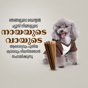 A cute poodle dog wearing a brown vest and posing with dog treats, with Malayalam text.