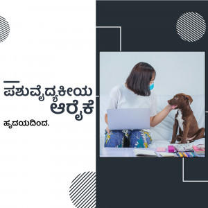 Woman working on laptop with dog on sofa