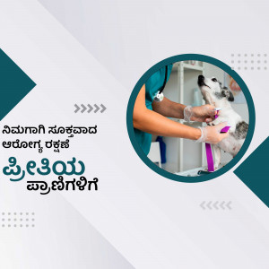 Veterinarian examining a dog with a stethoscope