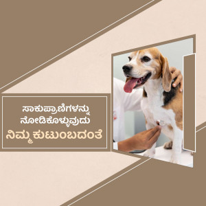 A veterinarian examining a beagle dog with a stethoscope.