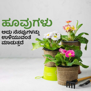 Three potted flowering plants with Kannada text overlay