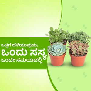 Three potted succulent plants with Kannada text overlay