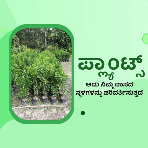 Image of small trees or saplings in pots, with Kannada text promoting tree planting.