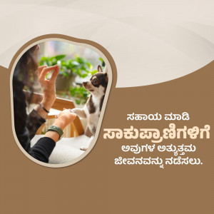 A woman training a small chihuahua puppy with a treat.