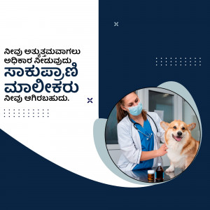 Veterinarian examining a corgi dog in a clinic