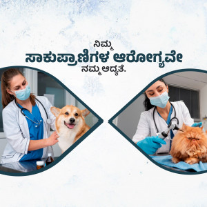Veterinarian examining a dog and a cat with safety measures