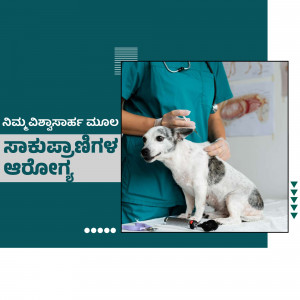 A veterinarian checks a small white dog with spots during a medical examination.
