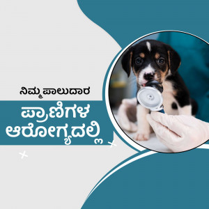 A veterinarian examining a cute puppy with a stethoscope.