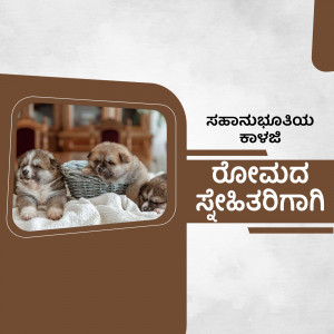 Three fluffy puppies in a basket with a brown background and Kannada text.