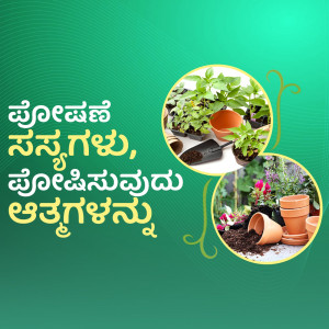 Image showcasing gardening tips and plants with text in Kannada.