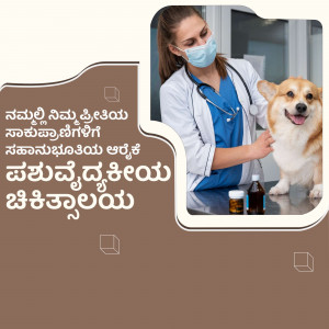 A female veterinarian wearing a mask examines a corgi dog in a clinic.